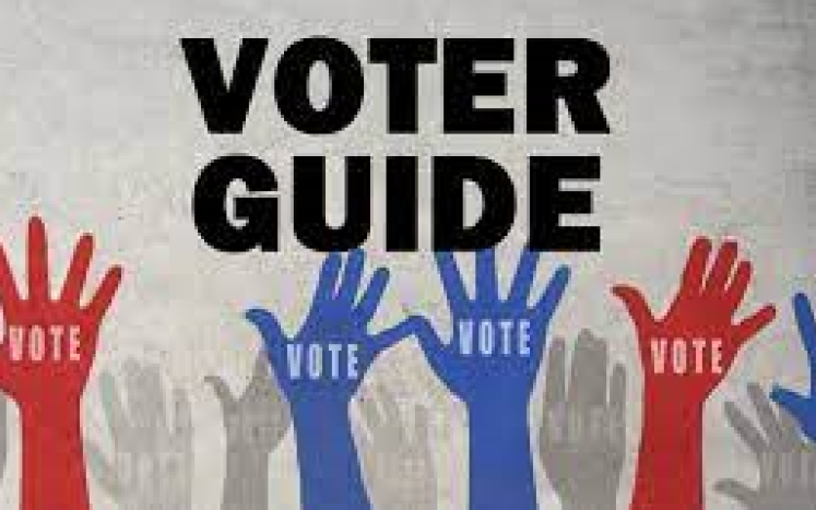 voter Guide